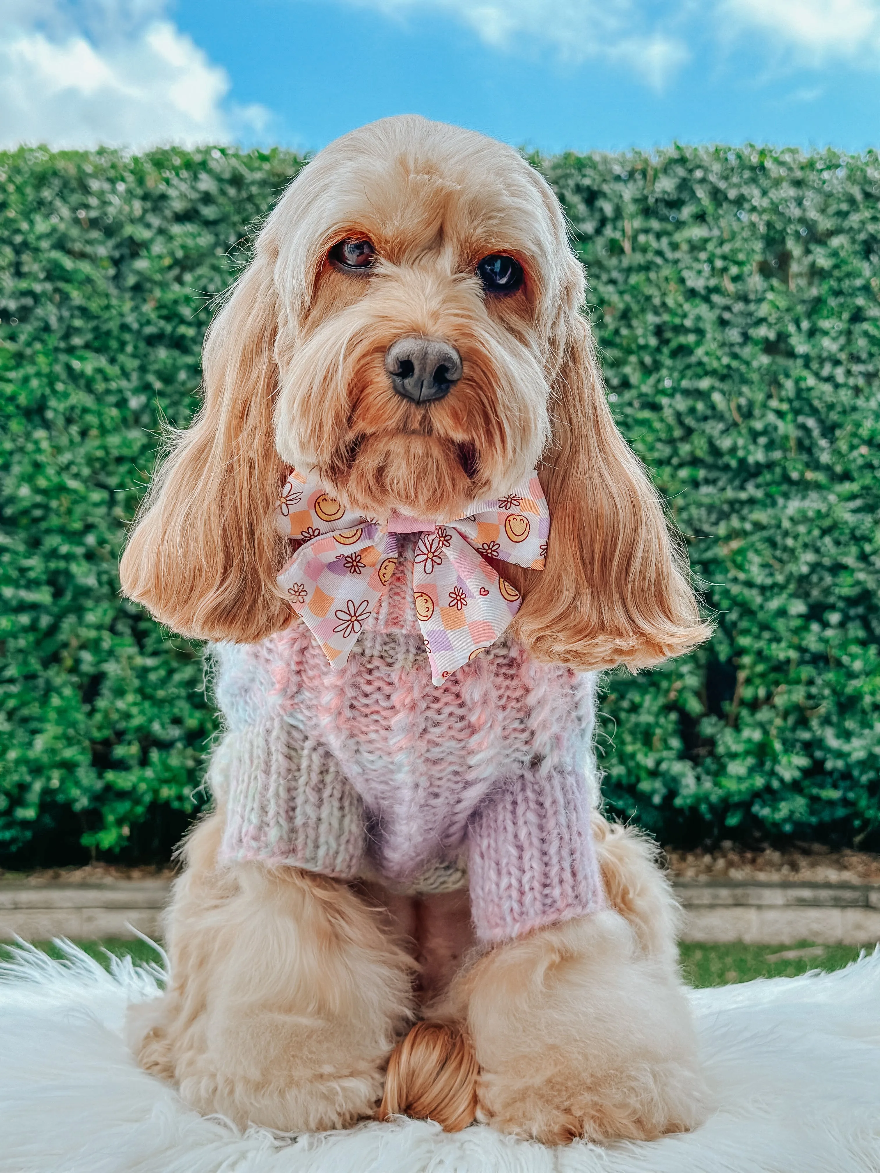 Dog Cable Knit Sweater - Pastel