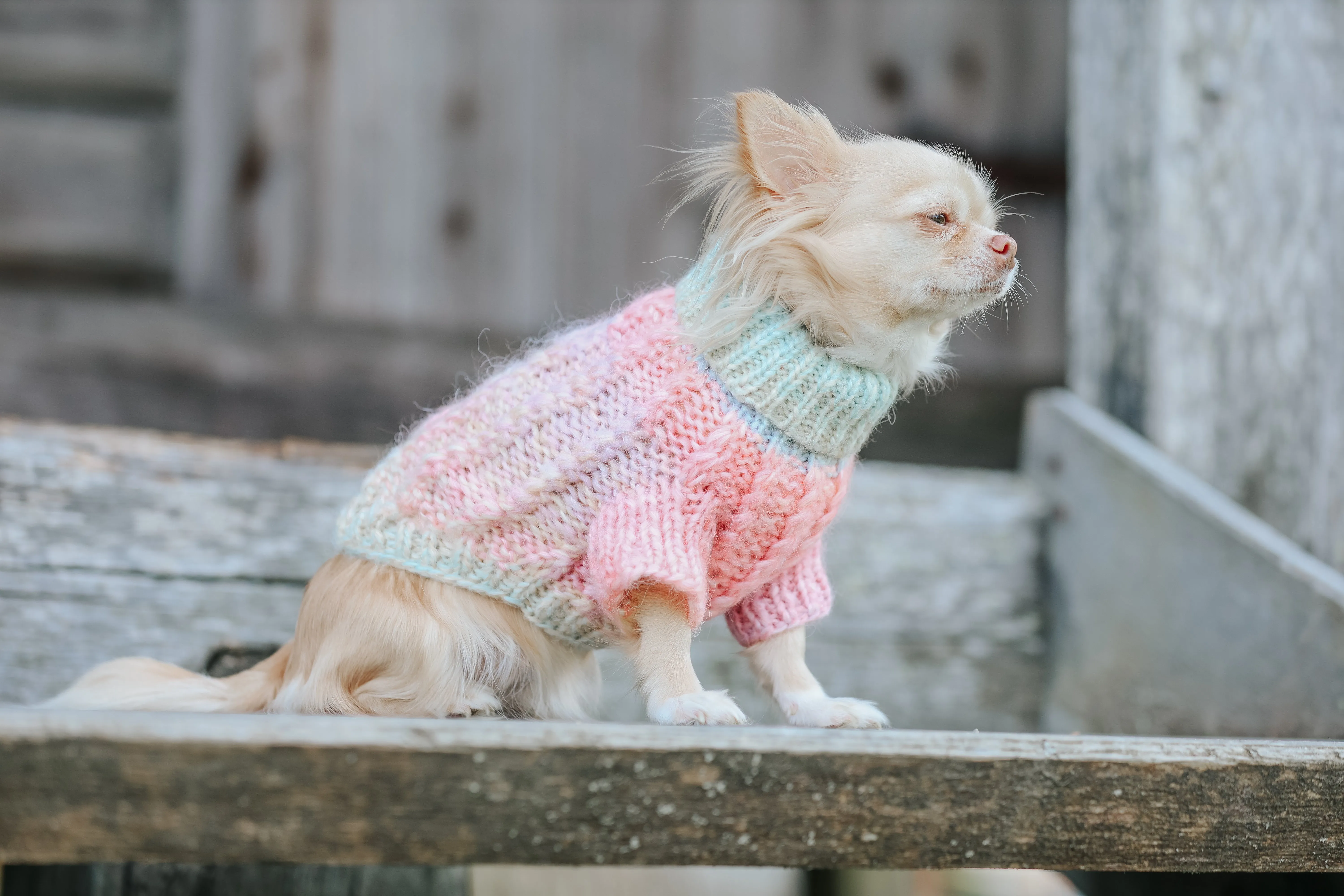 Dog Cable Knit Sweater - Pastel